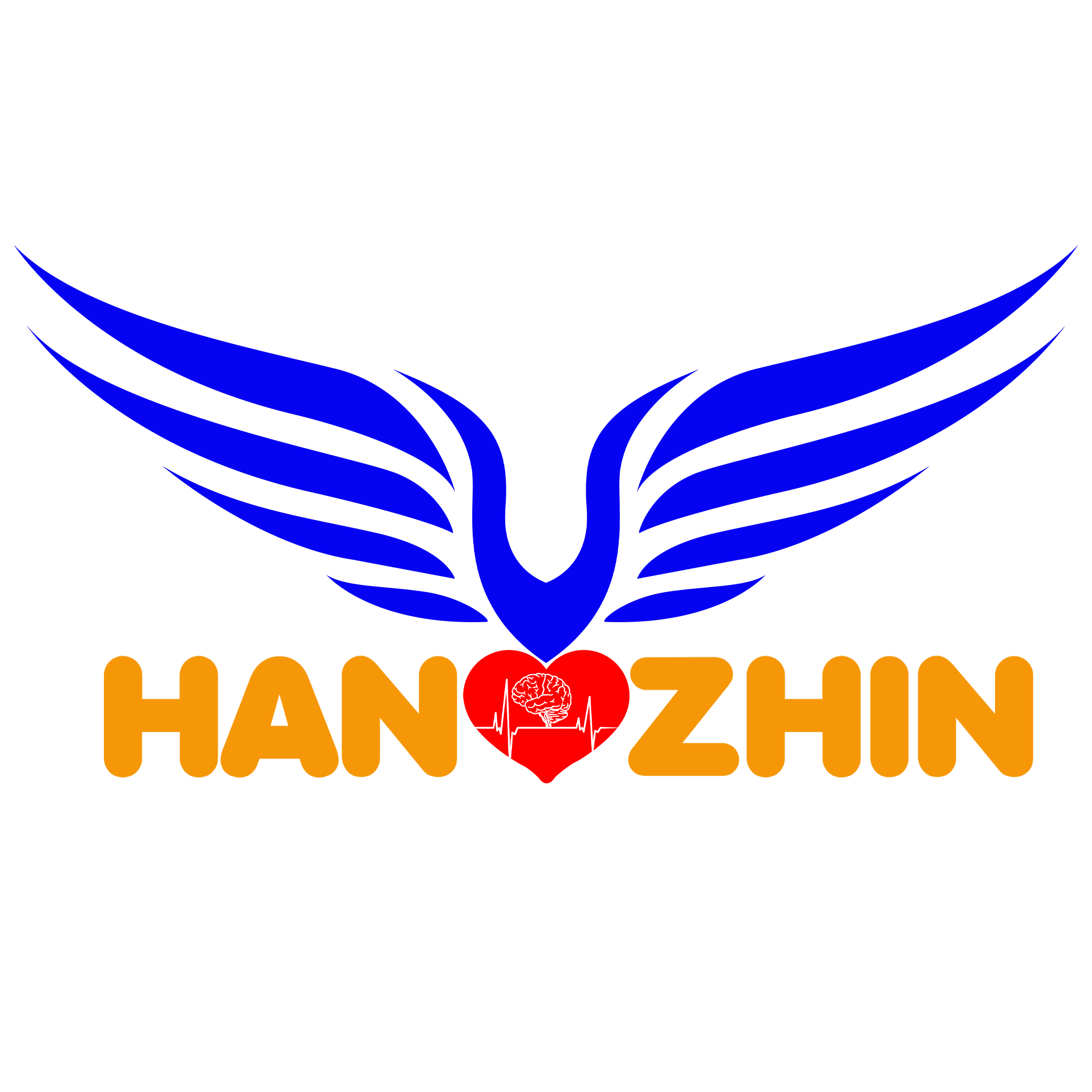 شرکت شرکت تلاشگران آیرین ماد