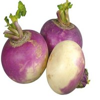 صبحانه نان و پنیر و شلغم بخورید