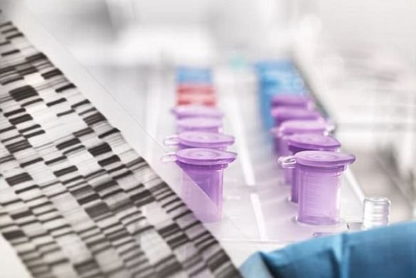 تشخیص زودهنگام و درمان موثر بیماری‌ها با استفاده از  ژمیران