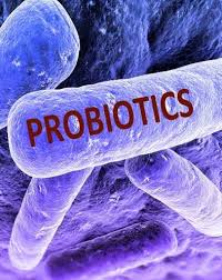 محصولات پروبیوتیک تسهیل کننده درمان اضطراب و افسردگی است