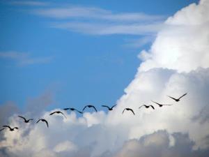 بیست و نهم بهمن، روز نگهداشت تجهیزات پزشکی