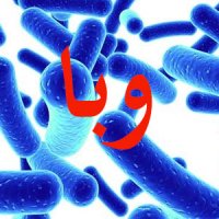 5 بیماری مرگبار که به‌خاطر گرم شدن زمین انسان را تهدید می‌کند