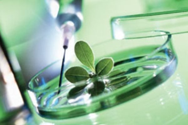 البرز پایلوت تشخیص بیماری های متابولیک می شود