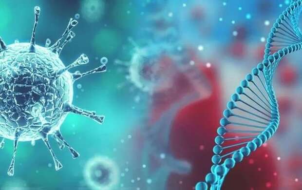 نوع G ویروس کووید ۱۹ دارای انتقال آسان تر و سریع تر است