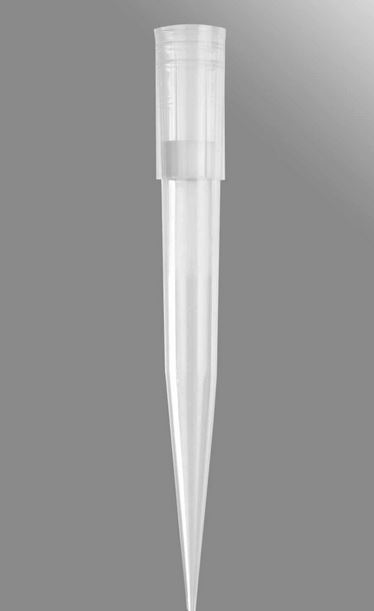 سر سمپار 1000ml - Axygen® 1000 µL Universal Fit Filter Tips, Clear, Bulk Pack, 1000 Tips/Pack, 5 Packs/Case - corning - مصرفی - سلولی و مولکولی - تجهیزات پزشکی آداک آوین